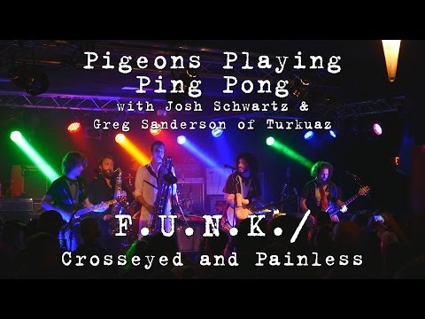 Pigeons Playing Ping Pong w/Josh & Greg of Turkuaz: F.U.N.K. / Crosseyed & Painless [4K]