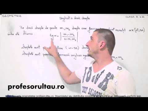 25   cls10   Geometrie   unghiul a doua drepte - profesorultau.ro