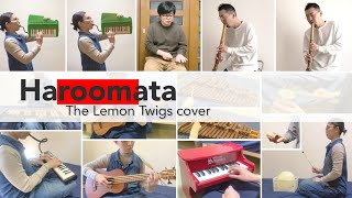Haroomata - The Lemon Twigs(cover)