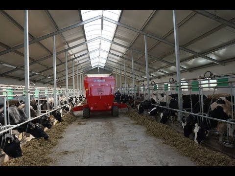 Poziomy paszowóz Intermix R12 w nowoczesnej oborze na Warmii. 2 twarde baloty. TMR w 20 minut!