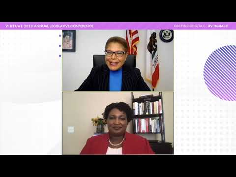 All In: The Fight for Democracy Panel - Virtual 2020 ALC