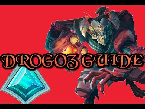 Paladins Guide [ Drogoz Build ]