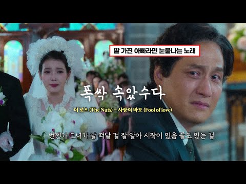 [폭싹 속았수다] 수 틀리면 빠꾸, 아빠한테로 와🍊: 더 넛츠 (The Nuts) - 사랑의 바보 (Fool of love)