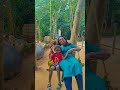 Olathumbath Irunnuyaladum Chella Painkili