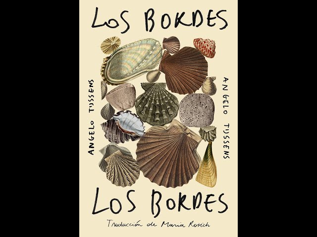 Vídeo relacionado con Los bordes