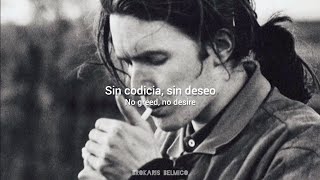 Rain Tree Crow - Every Colour You Are (Lyrics/Subtitulado al español)