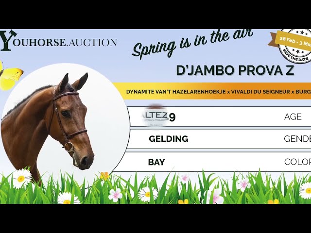 D'Jambo Prova Z showvideo indoor