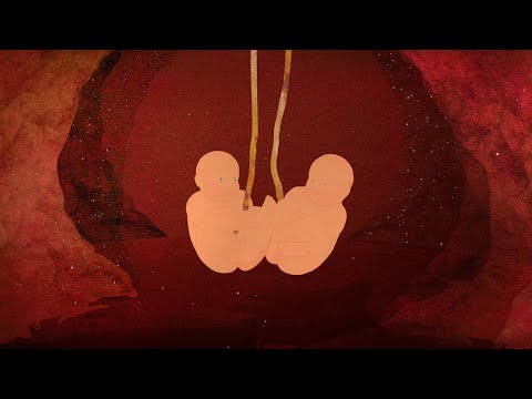 Two Twins Debate Life Before Birth | The Afterbirth (Animated Short)