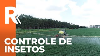 Miniatura do vídeo