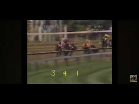Alydar vs Affirmed: The Famous 1978 Travers Showdown