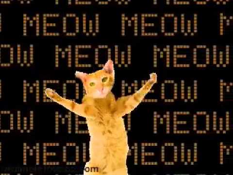 Dancing Cats - Go Kitty Go! - YouTube.flv
