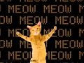 Dancing Cats Go Kitty Go YouTube Flv