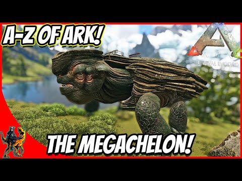 A-Z Of Ark! The MEGACHELON SWIMMING AND WALKING TANK!! || Ark Survival Evolved!