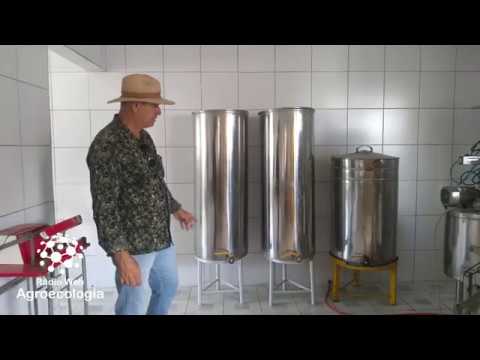 Beneficiamento do mel - QUE BICHO É ESSE? - SÉRIE AGELHAS