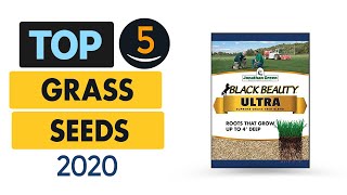 Top 5 Best Grass Seed In 2020 | Buying Guide and review
