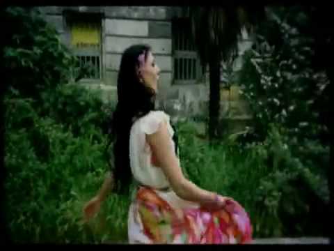 Ayşe Dinçer - Bu Fasülye