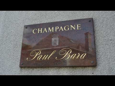 The Wines of Champagne