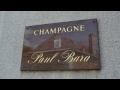 The Wines Of Champagne
