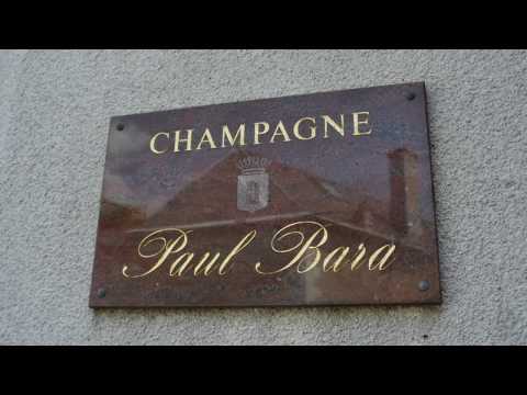 download lagu mp3 mp4 Lcbo Sparkling Wine, download lagu Lcbo Sparkling Wine gratis, unduh video klip Lcbo Sparkling Wine