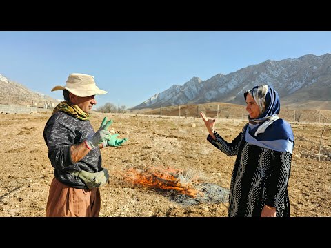 The orphan girl's family is coming here in 2 days? - Will we get custody of the little girl?