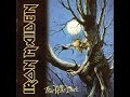 Iron Maiden - From Here To Eternity 