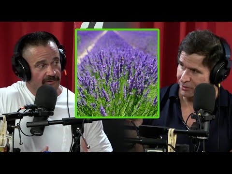 Evidence Based Supplements to Supercharge Your Sleep