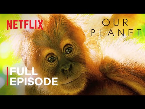 , title : 'Our Planet | Jungles | FULL EPISODE | Netflix'