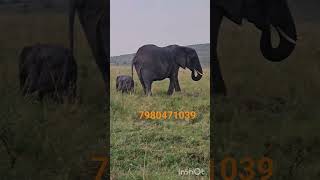 Download lagu https://www.facebook.com/profile.php?id=61552773683992&mibextid=ZbWKwL mp3 Download lagu https://www.facebook.com/profile.php?id=61552773683992&mibextid=ZbWKwL mp3