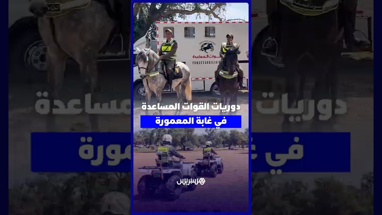 لأول مرة بغابة المعمورة… دوريات للقوات المساعدة بالخيول والدراجات الرباعية لتعزيز الأمن thumbnail