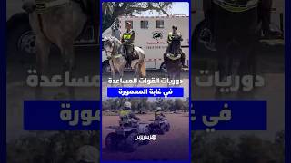 لأول مرة بغابة المعمورة… دوريات للقوات المساعدة بالخيول والدراجات الرباعية لتعزيز الأمن thumbnail