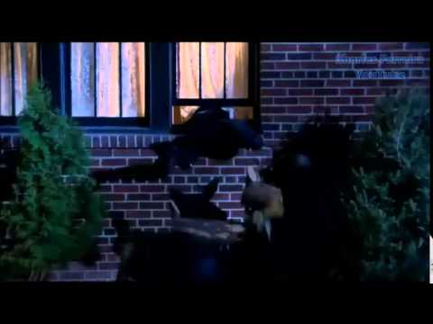 Home Alone: The Holiday Heist