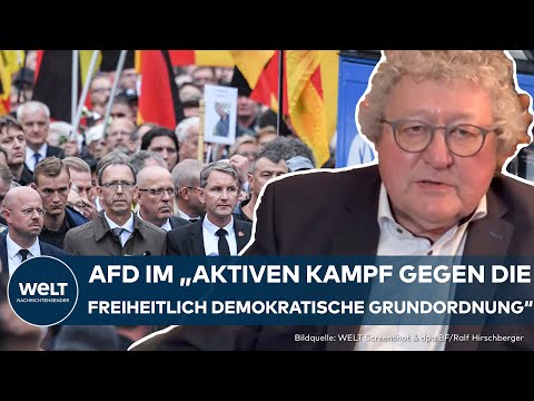 GESICHERT RECHTSEXTREM: Bundestag müsse Verbotsverfahren gegen AfD einleiten? | WELT Interview