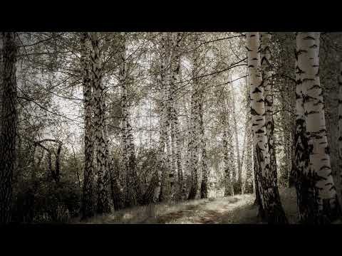 Aleksandar Stojić, Imao sam đavolasto lane