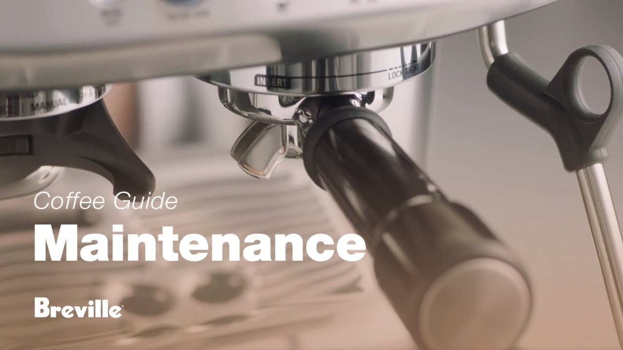 How to perform a cleaning cycle