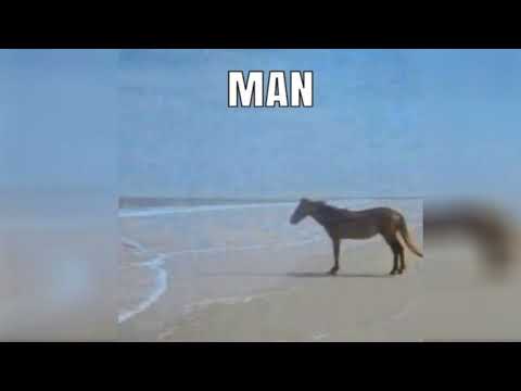 SEESCast Episode 9 - 30 Day Game Music Challenge