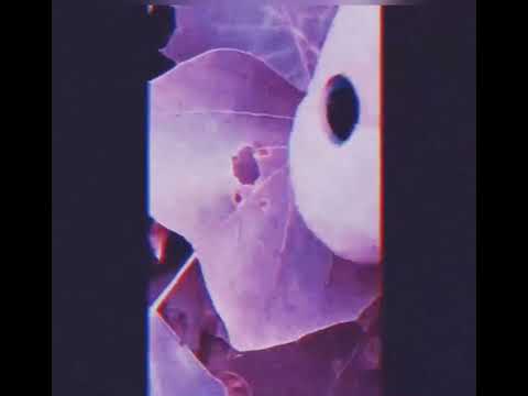 ShellyAnn - Welcome To My Kingdom (Official Music Video)