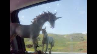 It&#39;s been raining - Kimya Dawson (Daycore/Slowed) (Picture belongs to apapertownforapapergirl)