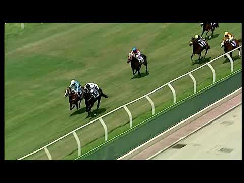 Napoli Galoppo 11/06/2021 - 1ª corsa