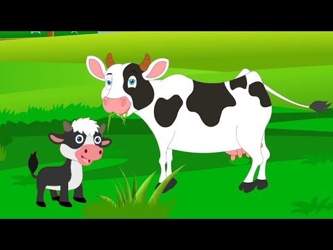 , title : 'Η καλή μας αγελάδα | Παιδικά Τραγούδια | Koperti'