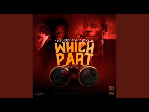 Which Part (feat. Boodan)