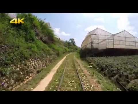 Da Lat - Trai Mat Train driving record (2015)