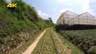 Da Lat - Trai Mat Train driving record (2015)