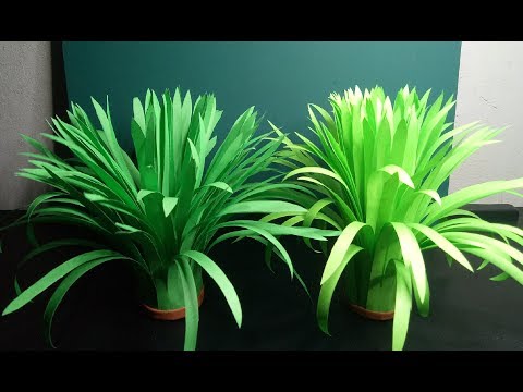 download lagu mp3 mp4 How To Make Grass With Paper, download lagu How To Make Grass With Paper gratis, unduh video klip How To Make Grass With Paper