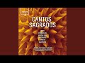 Cantos Sagrados II Virgin Of Guadalupe