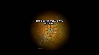 白猫はじめてみたよ