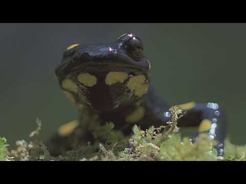 Erlebnis Nationalpark Hohe Tauern
