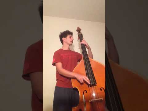 Marco Zenini - Ask Me Now (T. Monk) - solo double bass version
