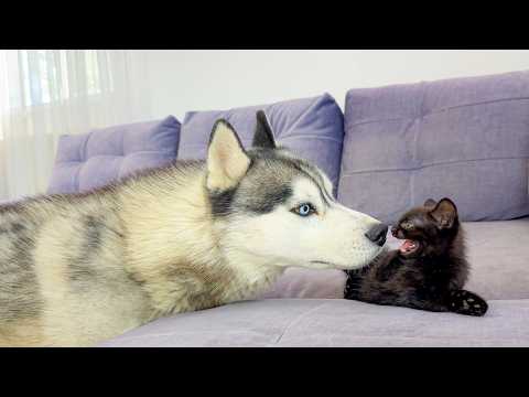 YouTube 썸네일