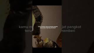 Download lagu pitutur Jawa #tvri #wayangkulit #lucu #pituturjawi #wayang #lawak #story #motivasi mp3 Download lagu pitutur Jawa #tvri #wayangkulit #lucu #pituturjawi #wayang #lawak #story #motivasi mp3