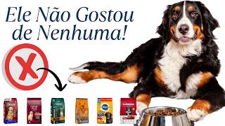SERÁ MESMO QUE OS CÃES PRECISAM QUE VOCÊ FAÇA ISTO?